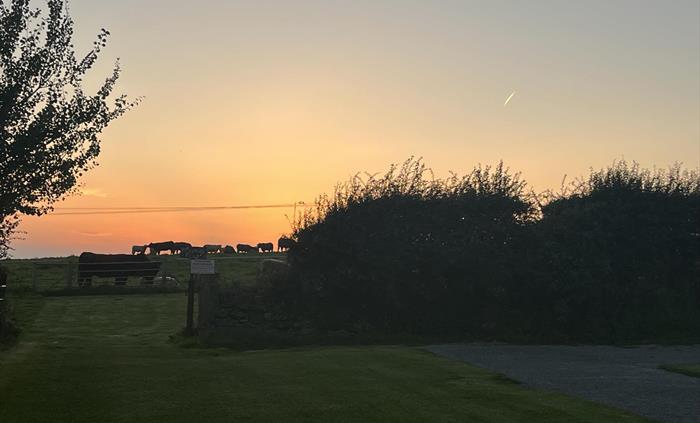 Bodowyr Caravan Park